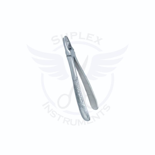 Dental Straight Forcep – Surgical & Medical Instrument