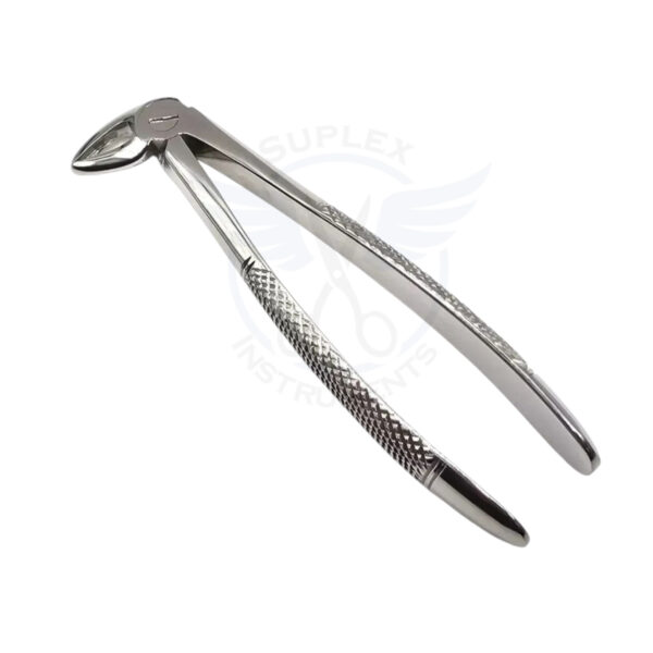 Dental Curved Forcep | Surgical & Medical Instruments